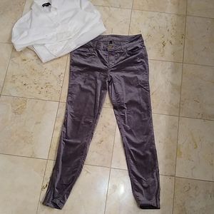 WHBM Velvet Skimmer Pants